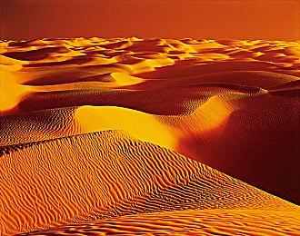 《刺猬索尼克3》全新官方预告片展示太空殖民地ARK